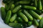 Skanūs agurkai marinate
