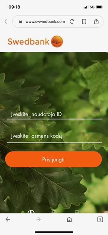 Suklastota Ibanko svetaine