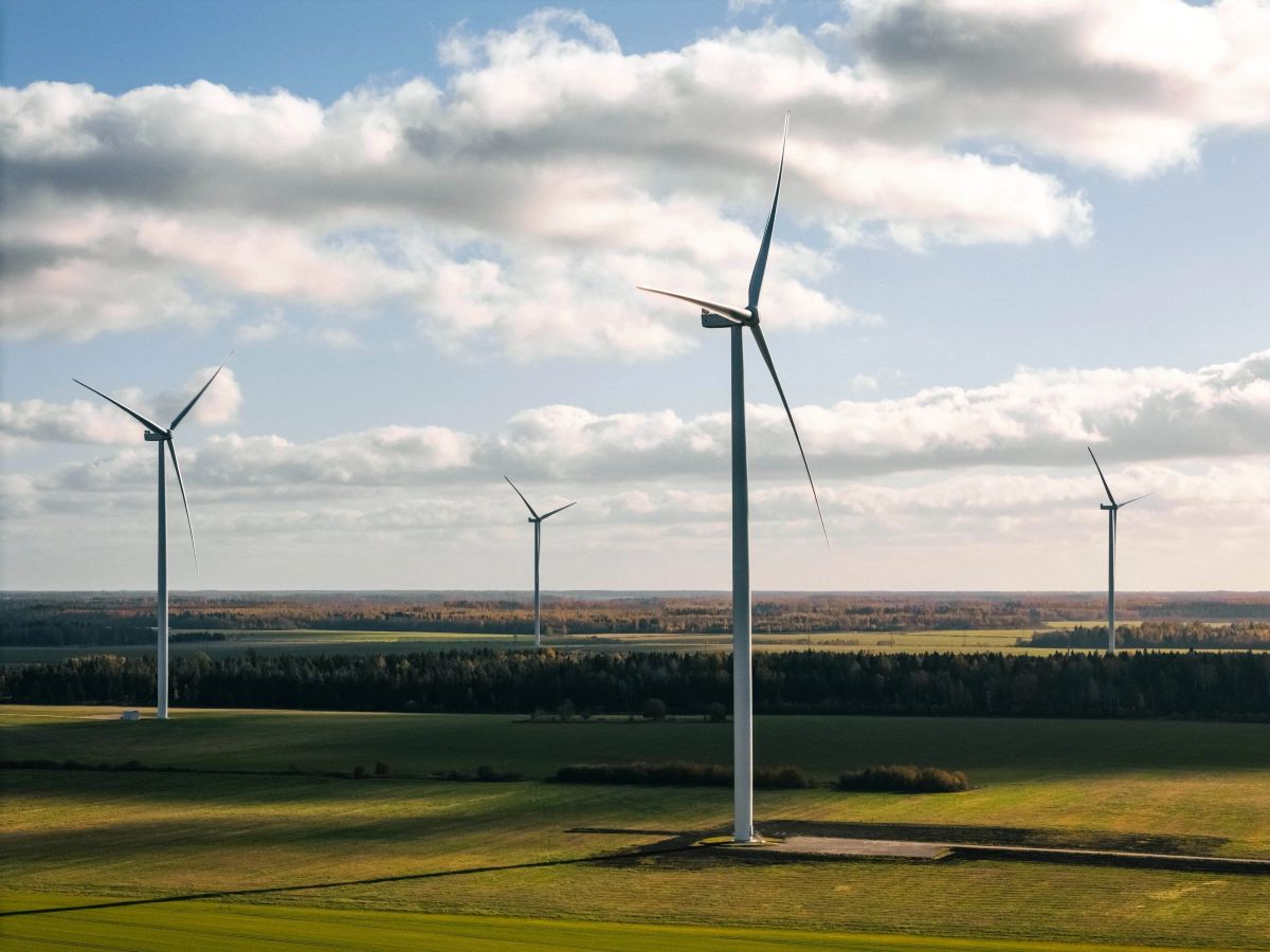 Vėjo elektrinės sumažino elektros kainą