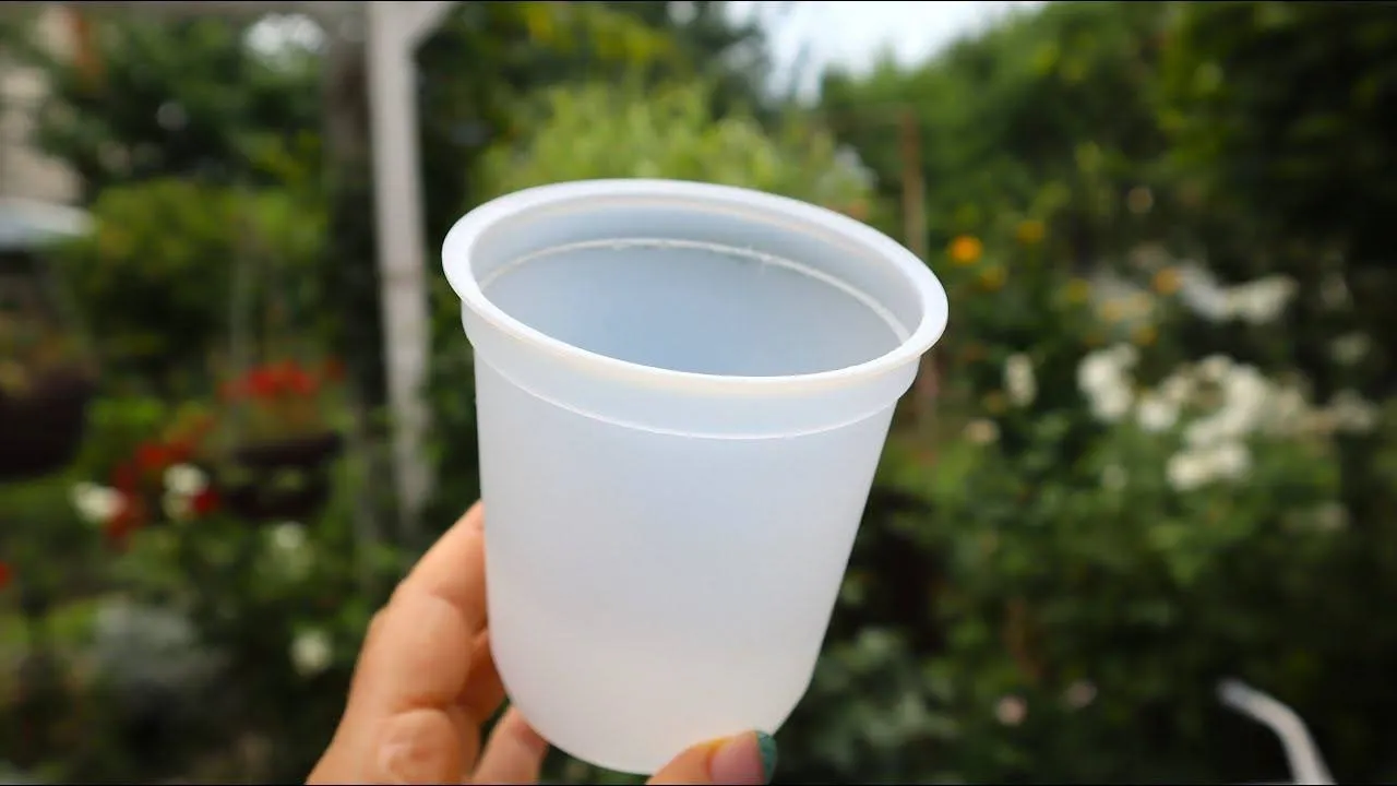 Tuščias indelis nuo jogurto