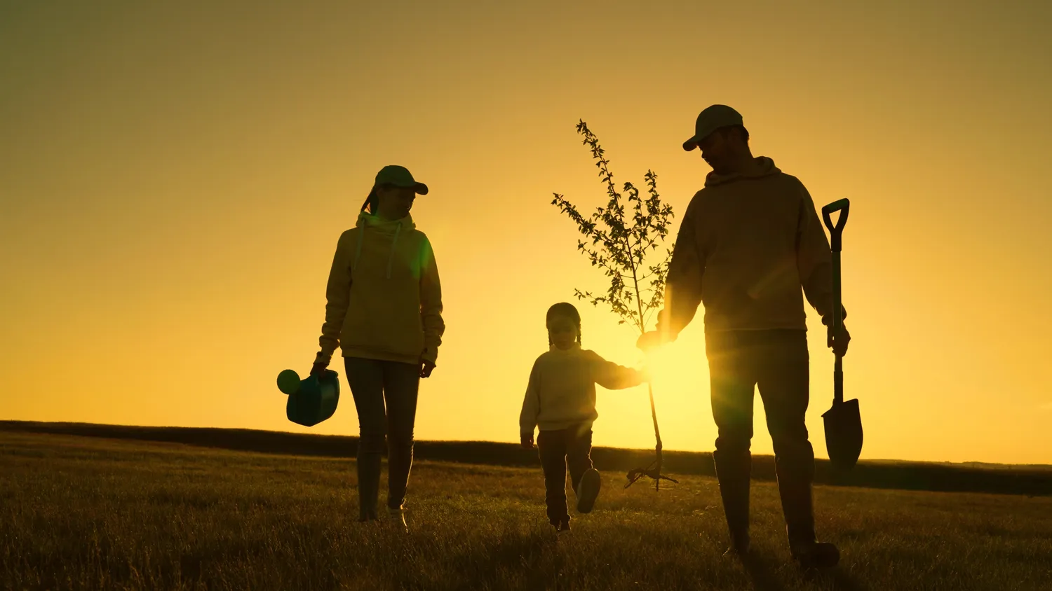 Kodėl ruduo, geriausias metas sodinti medžius