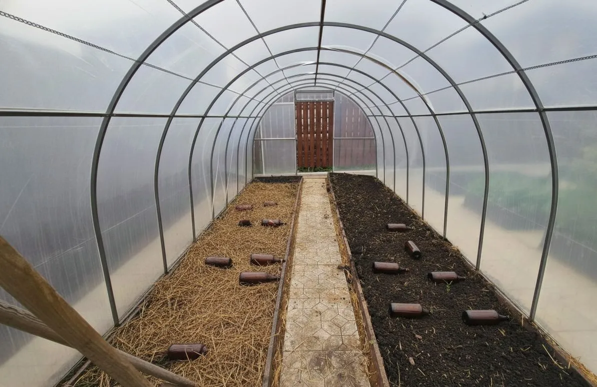 Šiltnamyje buteliai