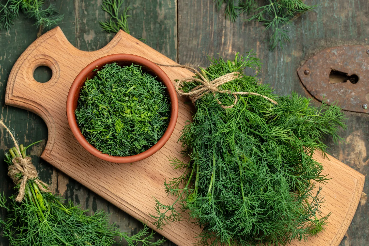 Svarbu tinkamai parinkti šalia krapų augančius augalus