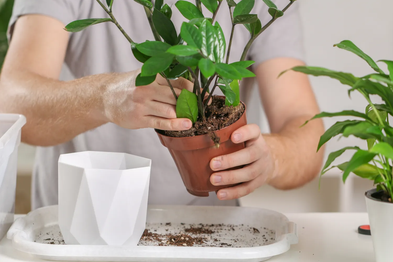 Shutterstock 2277821749