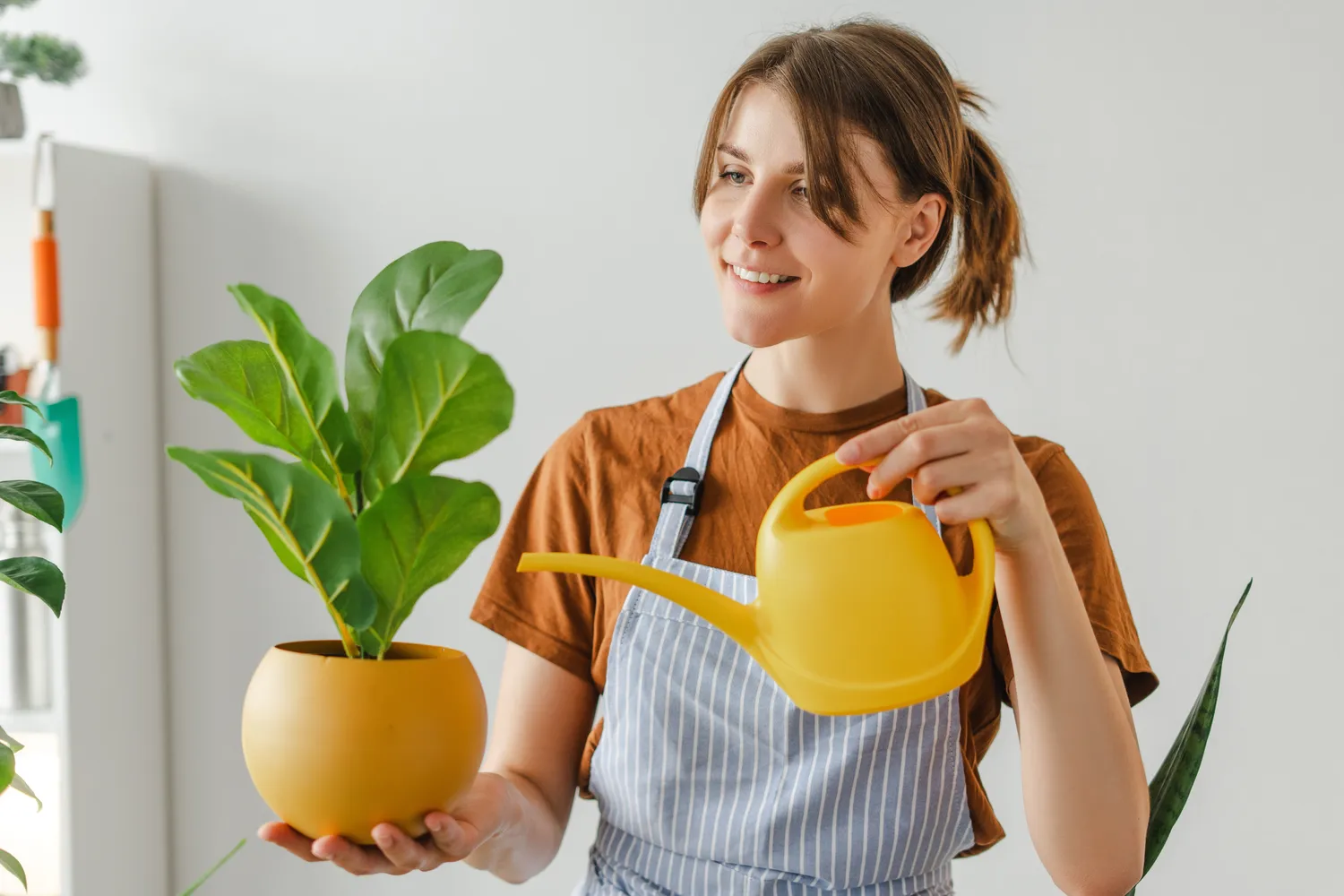 Skirtingi augalai turi skirtingus drėgmės poreikius