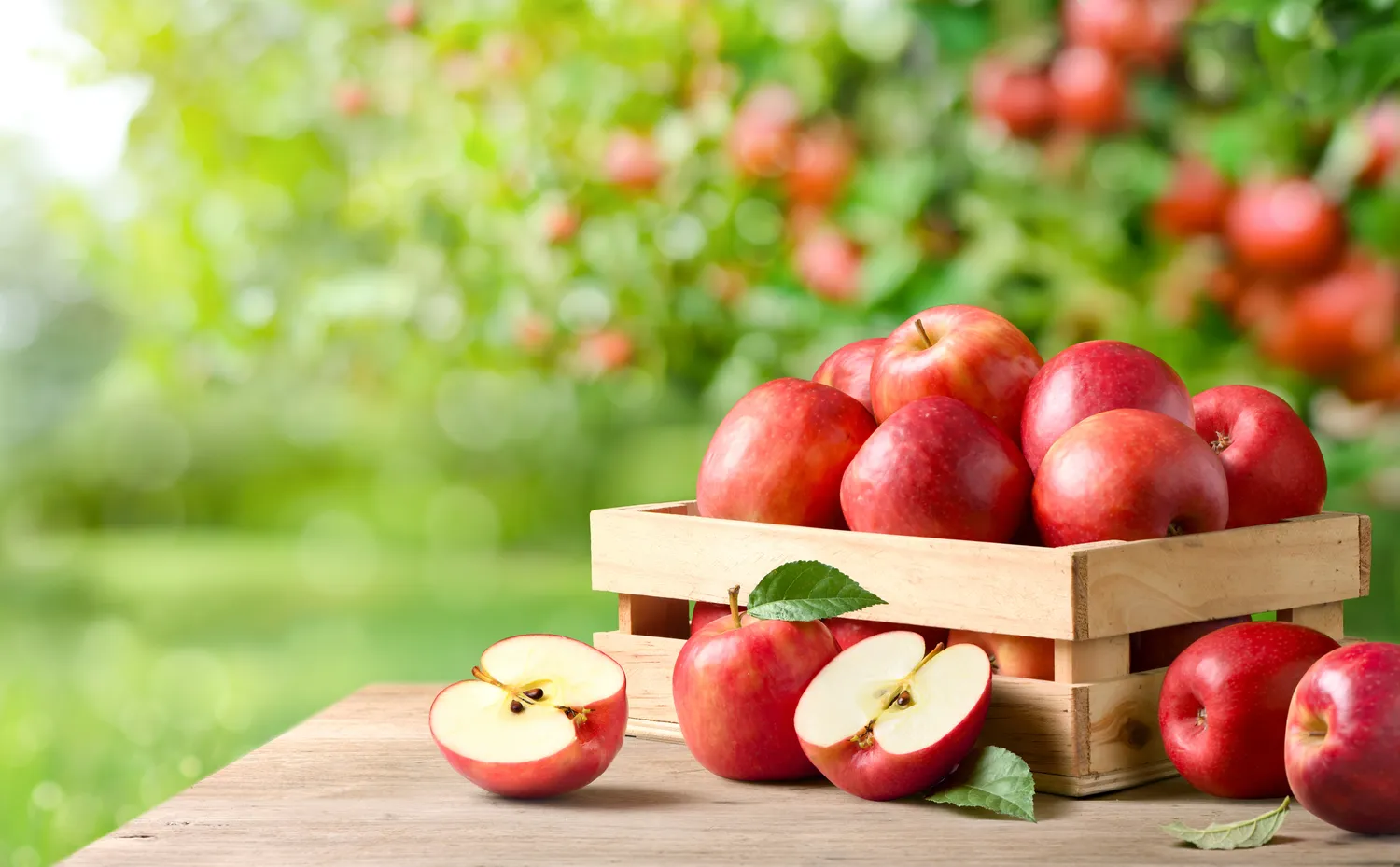 Klaidos kompostuojant obuolius gali lemti prastą būsimą derlių