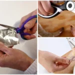 Bukos žirklės vėl taps aštrios