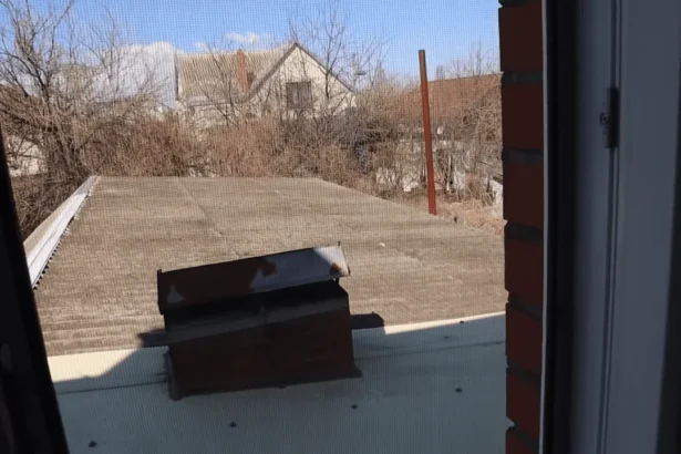 Geriausias tinklelis nuo uodų