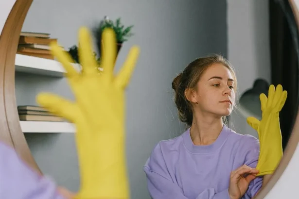 Namuose visiška tvarka