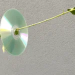 Senas CD diskas paukščių atbaidymui