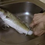 Žuvis nebeslys iš rankų