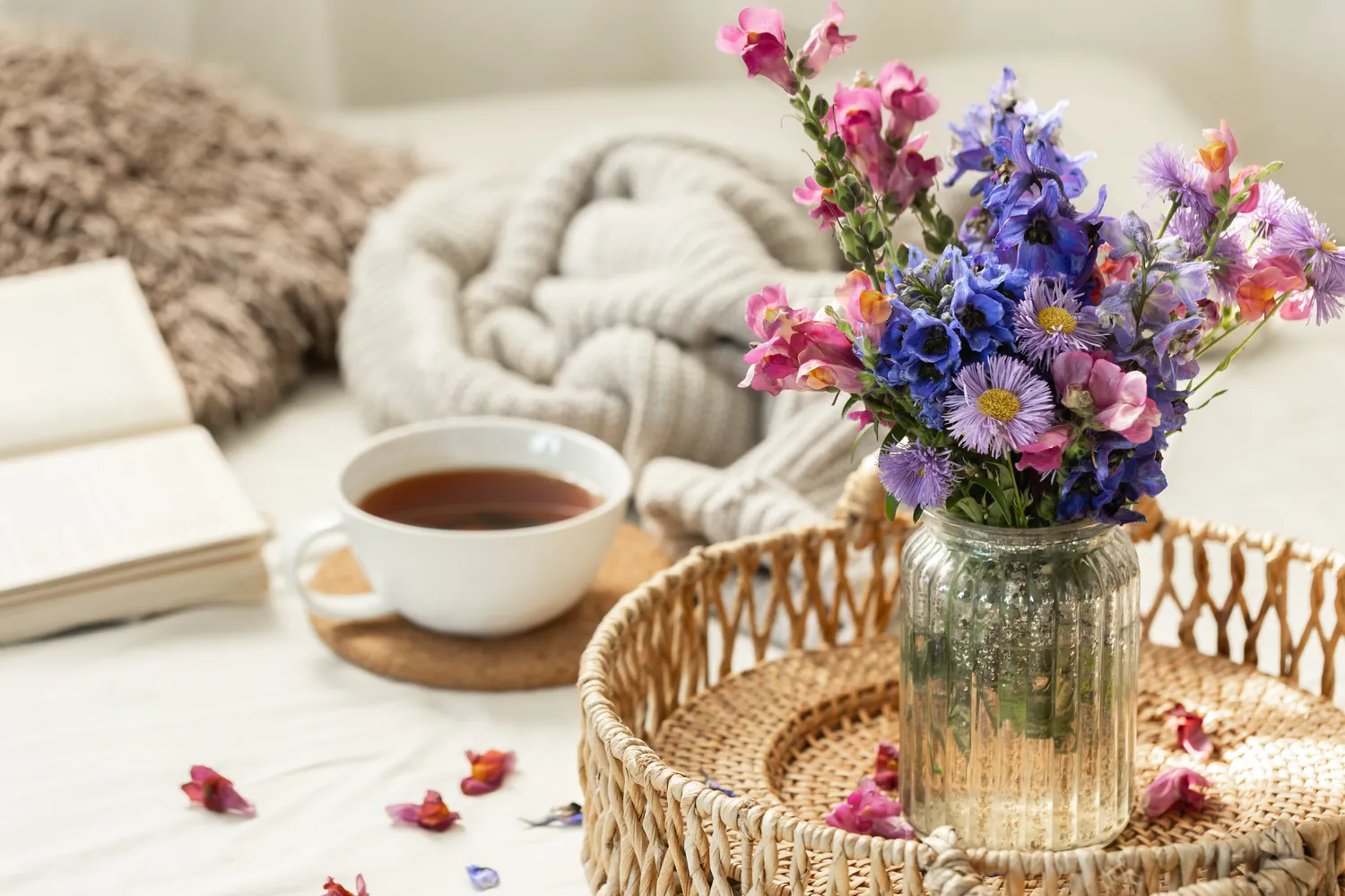 Augalai suteikia namams jaukumo