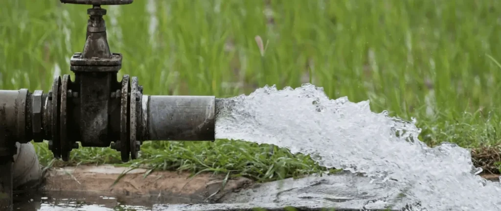 Vanduo Lygintuvui / Nuotrauka: newater.com (Brave)