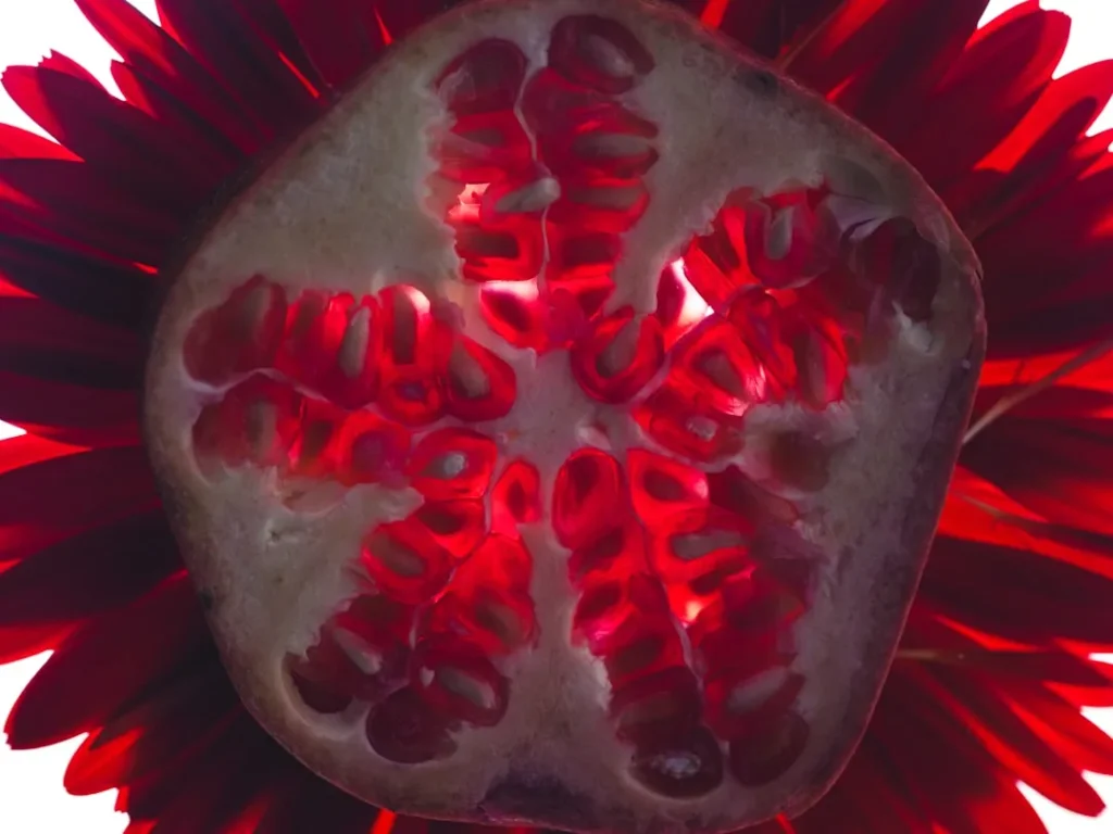 Granatas Sėklomis / Nuotrauka: engin akyurt (Unsplash)