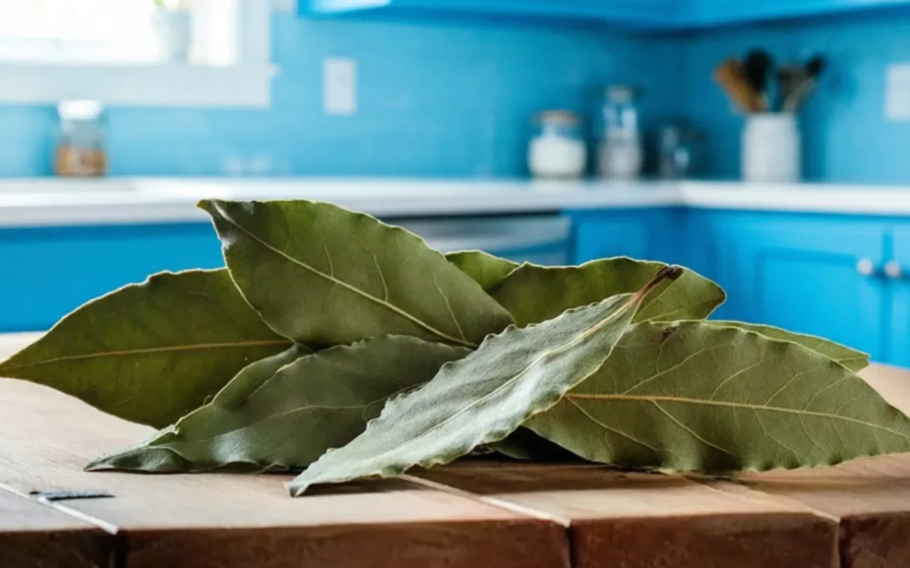 Namų Išvyti Skruzdes Paprastas / Nuotrauka: pogovorim.by