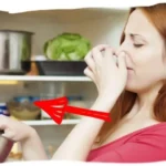 Greitai Pašalinti Kvapą Šaldytuvo / Nuotrauka: kurazh.org