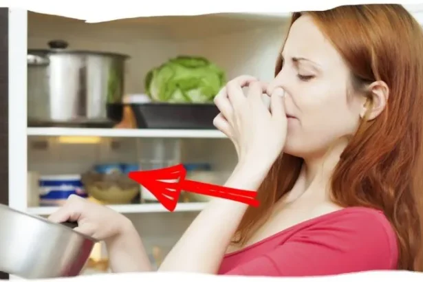 Greitai Pašalinti Kvapą Šaldytuvo / Nuotrauka: kurazh.org