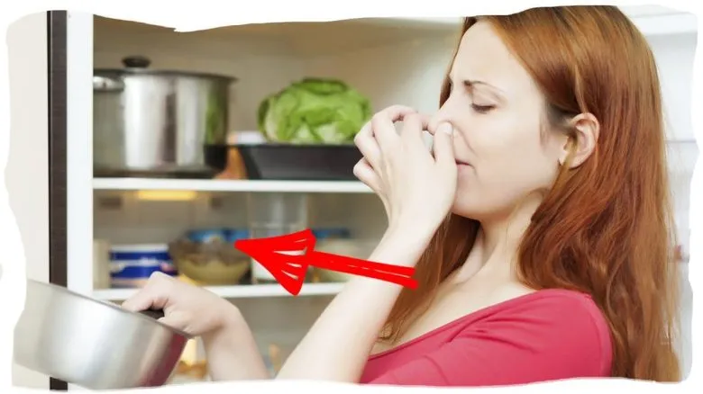 Greitai Pašalinti Kvapą Šaldytuvo / Nuotrauka: kurazh.org