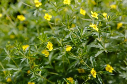 Shutterstock 1103929205