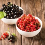 Raudonųjų ir juodųjų serbentų negalima sodinti šalia vienas kito