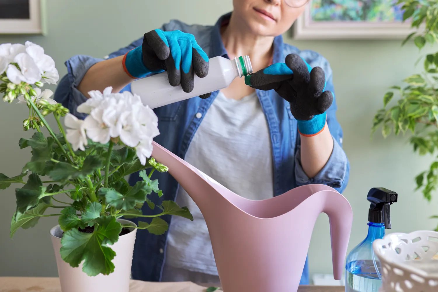 Neseniai persodintų augalų tręšti nereikia