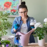 Shutterstock 1905360220