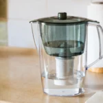 Shutterstock 2021504633