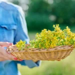 Shutterstock 2182965157