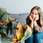 Supratus pagrindines klaidas, galima ne tik išgelbėti augalus, bet ir užtikrinti jų vešlų augimą