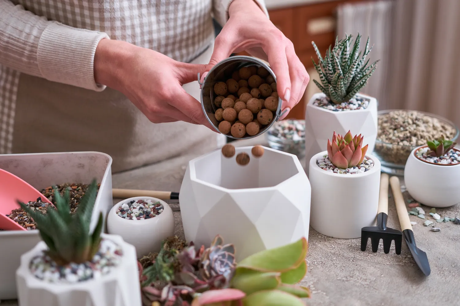 Shutterstock 2224126101