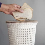 Shutterstock 2254491359 (1)