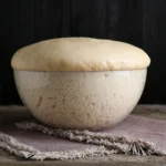 Shutterstock 2264299469