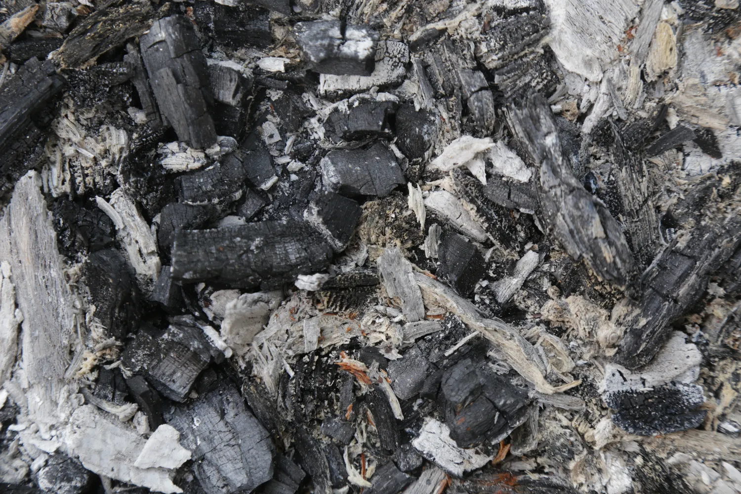 Medžio pelenus galima panaudoti darže bei sode