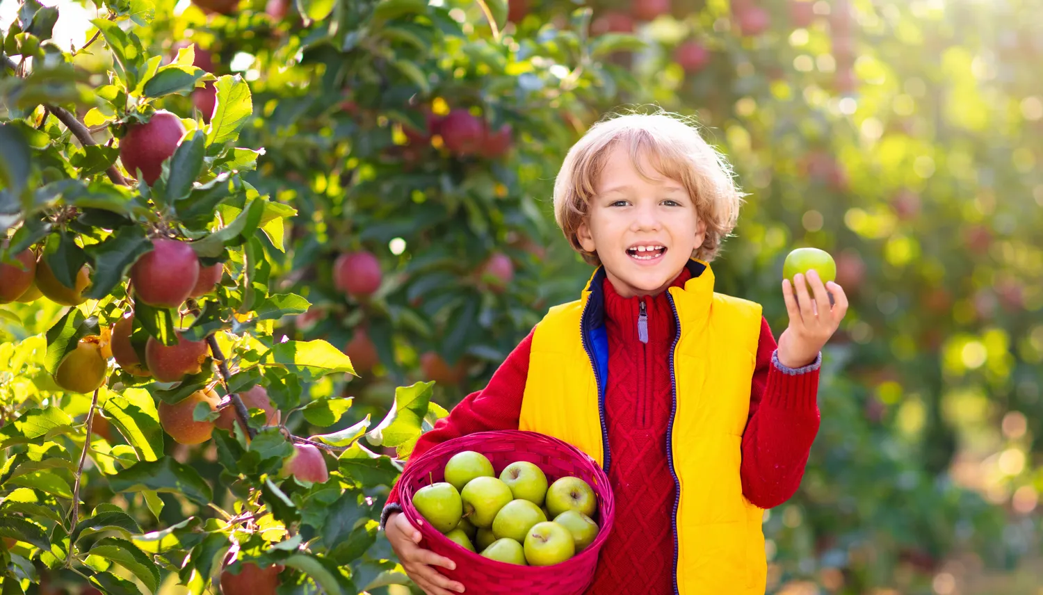 Pavasarinis vaismedžių tręšimas