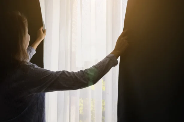 Shutterstock 2461444601