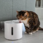 Katė geria vandenį