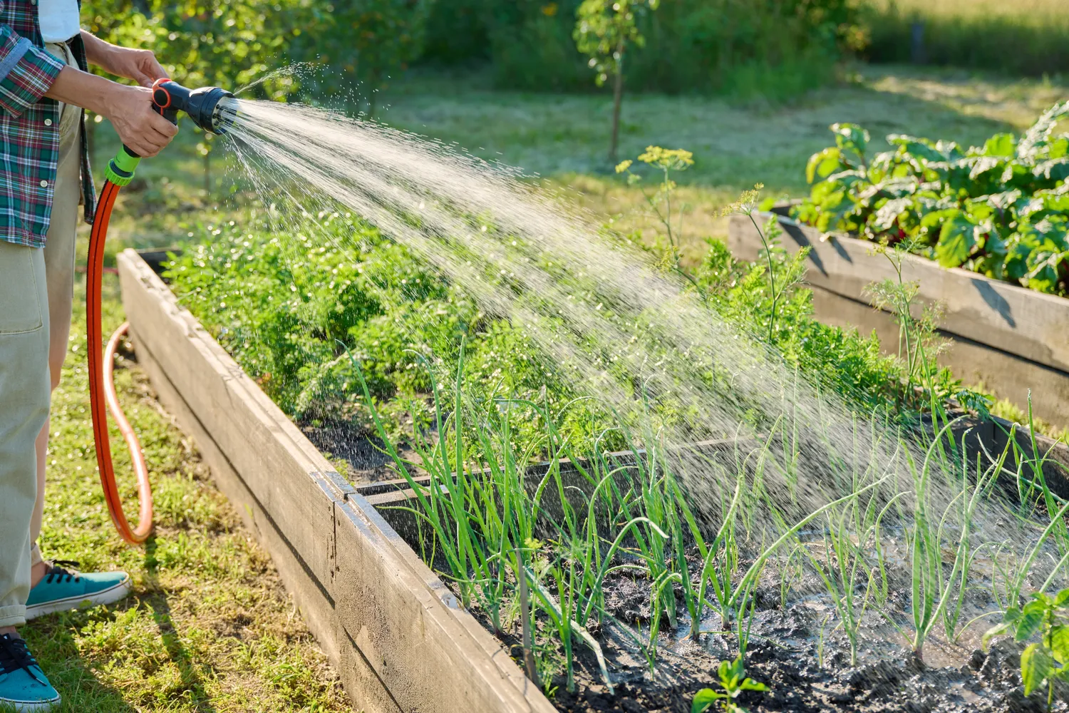 Pakeltos lysvės turi ir privalumų, ir trūkumų