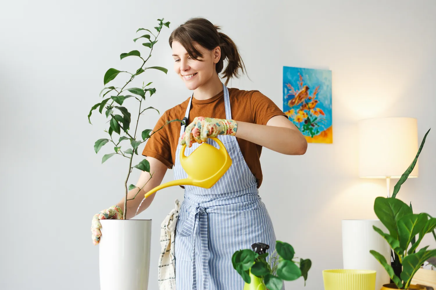 Kambariniams augalams itin svarbus tinkamai parinktas laistymas