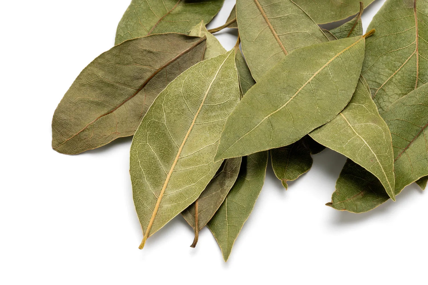 Lauro lapai padeda atgaivinti kambarinius augalus