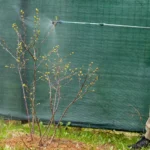 Shutterstock 2608380493