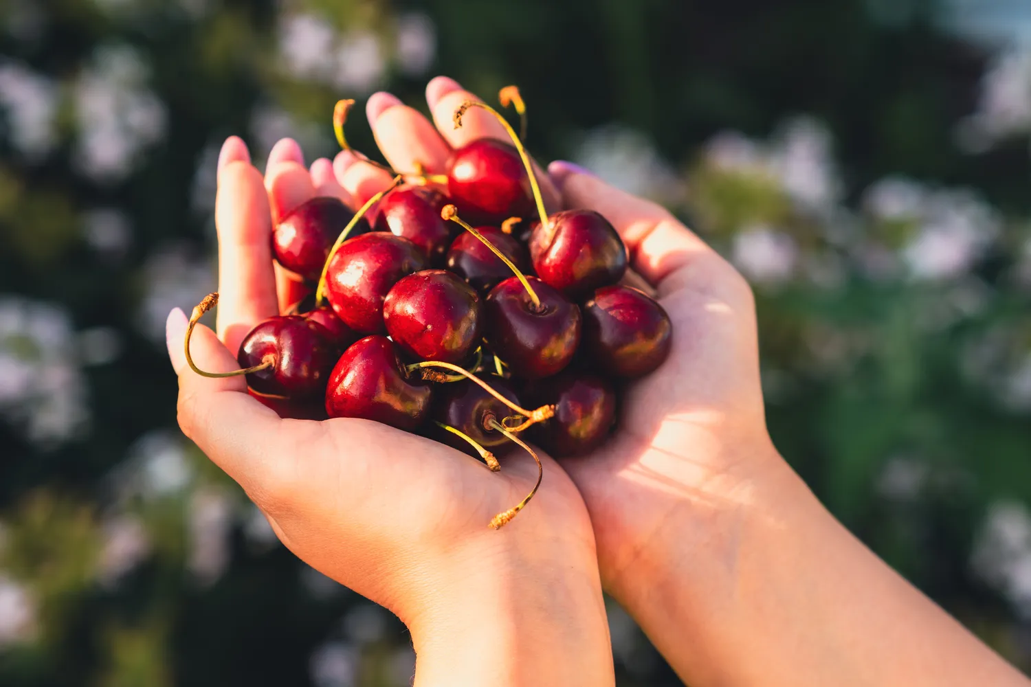 Daug fruktozės turintys vaisiai