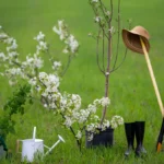 Balandžio mėnesio sodininko kalendorius