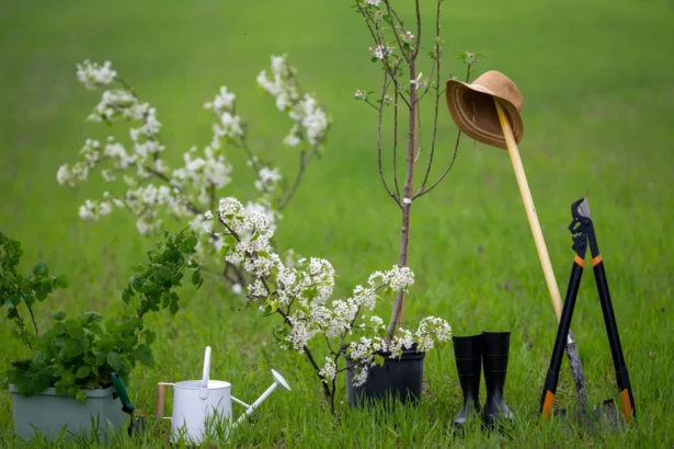 Balandžio mėnesio sodininko kalendorius