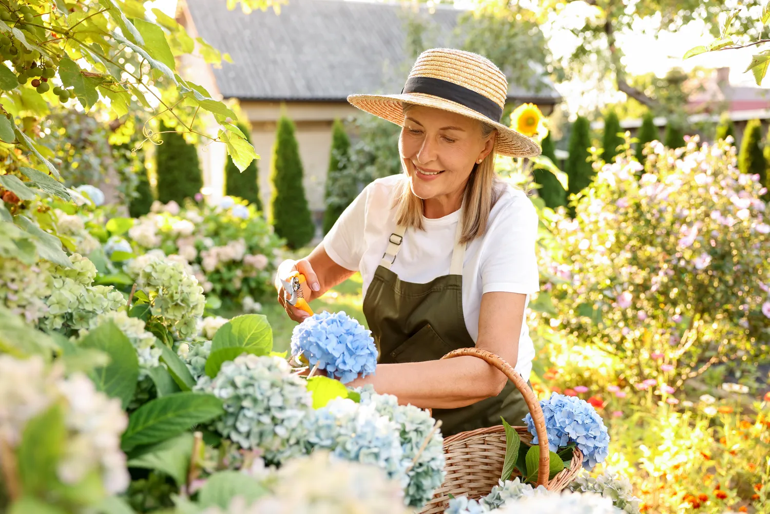 Norint, kad sodas nereikalautų daug priežiūros, svarbu augalus grupuoti pagal jų poreikius