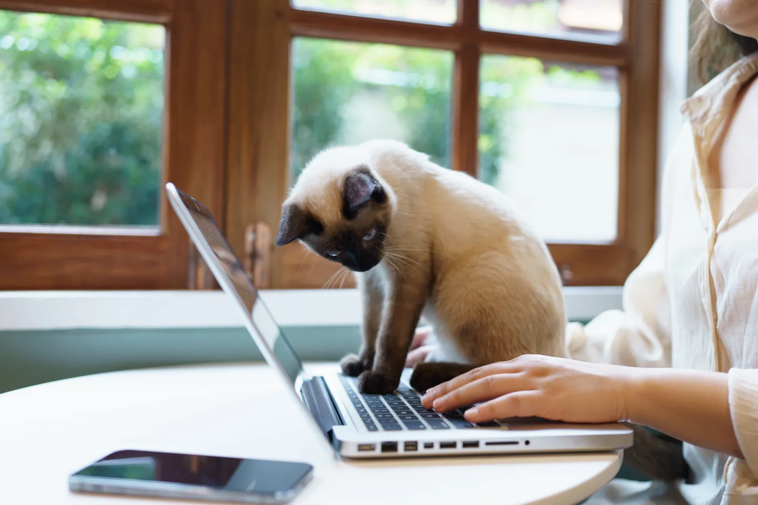 Shutterstock 2700381237