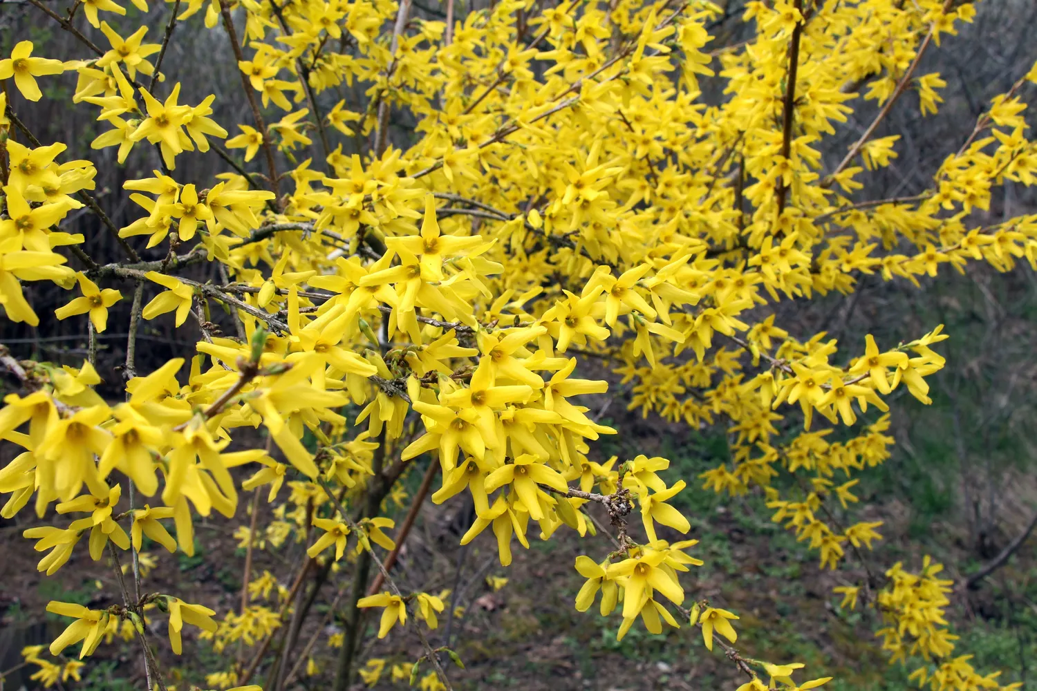 Shutterstock 2709853873