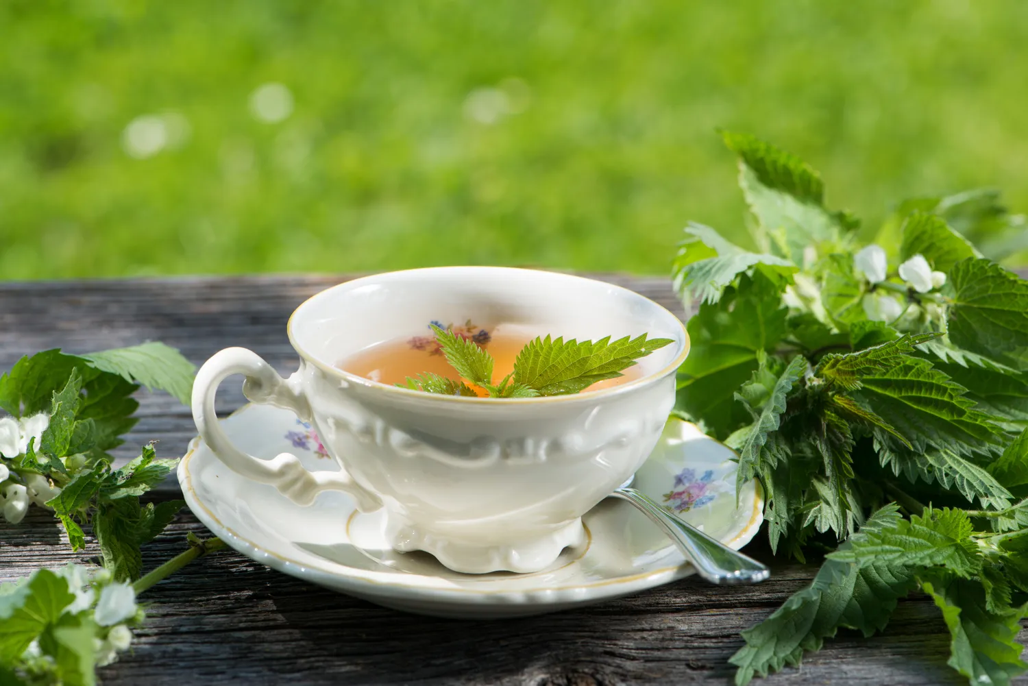 Skani dilgėlių arbata