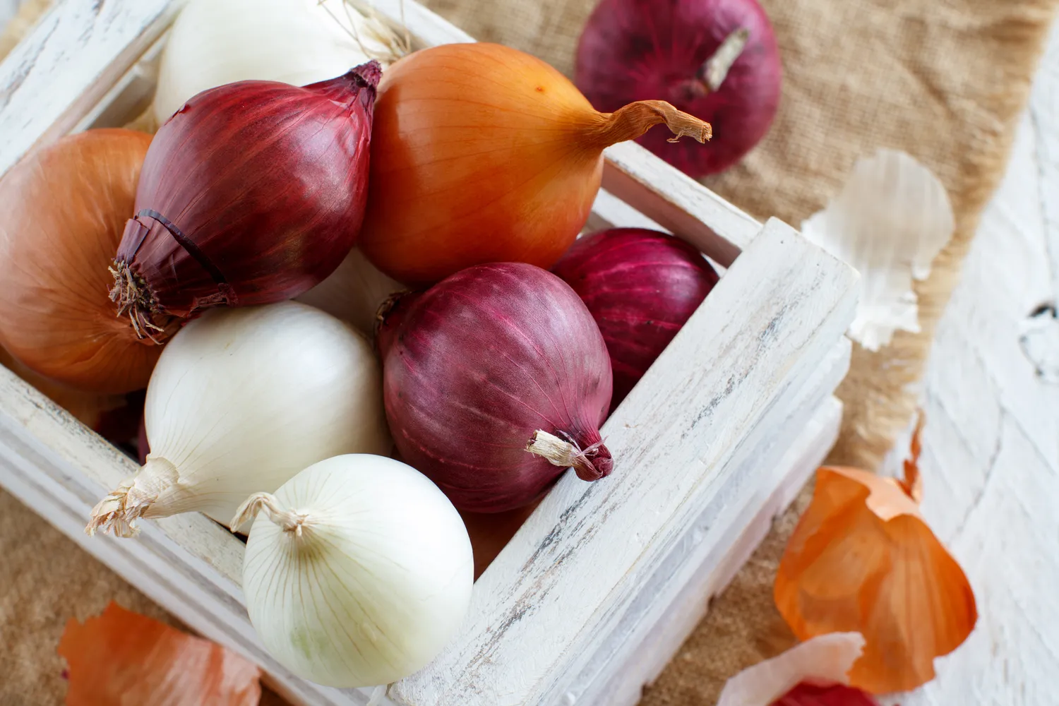 Shutterstock 760570918