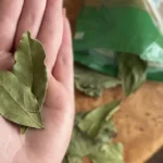 Atlikit šį ritualą su lauro lapais