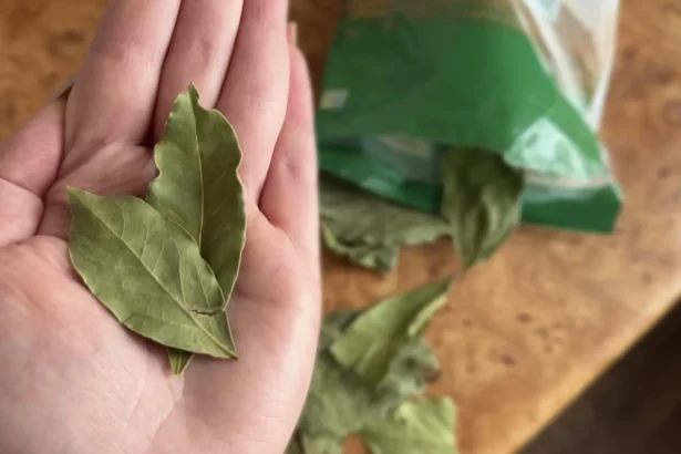 Atlikit šį ritualą su lauro lapais